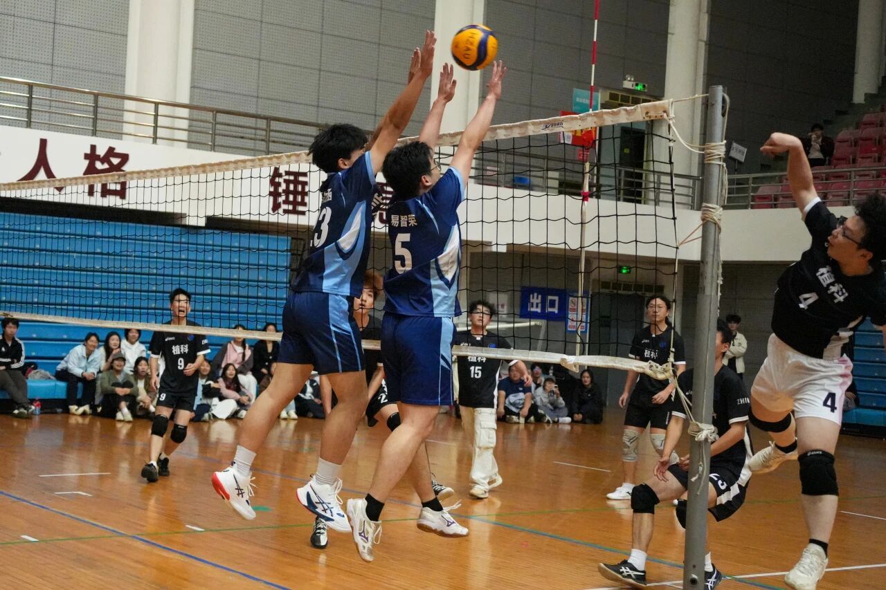 家庭教师av