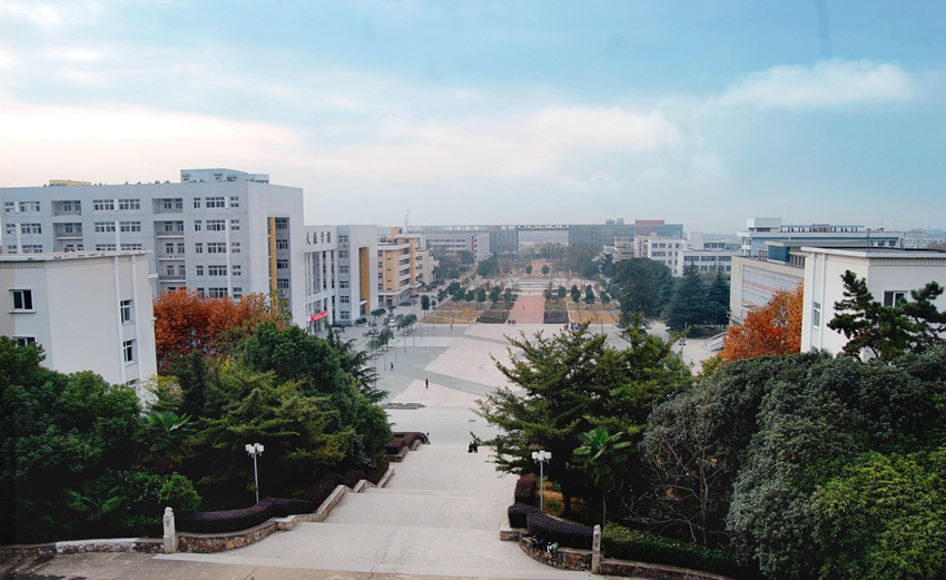 家庭教师av