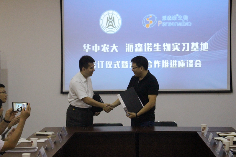 家庭教师av