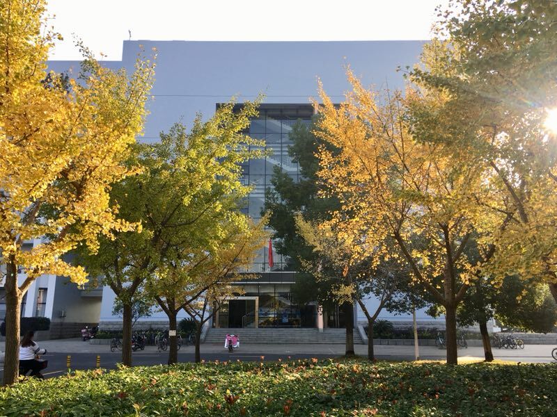 家庭教师av