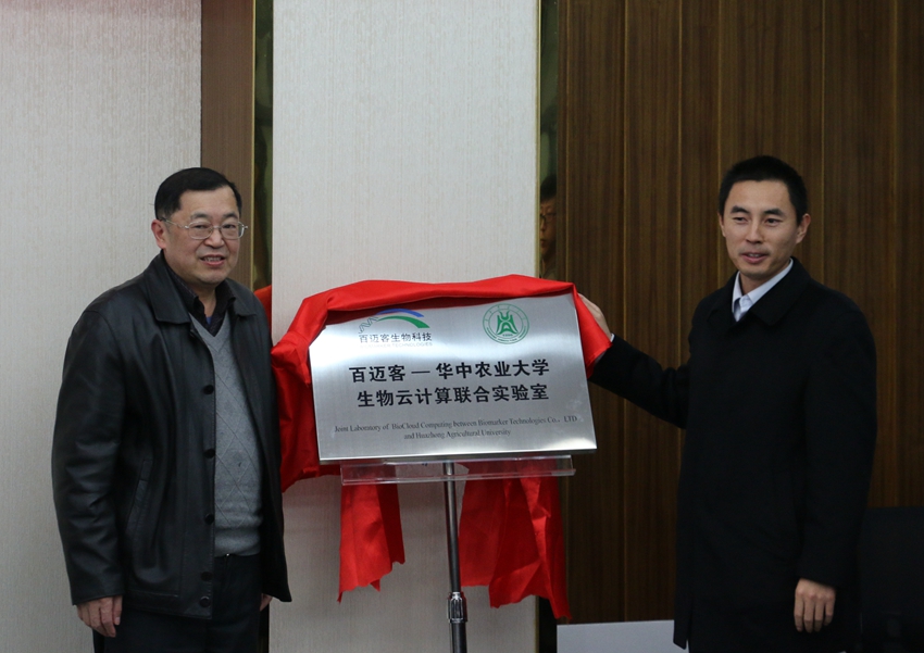 家庭教师av