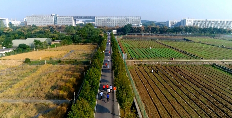 家庭教师av