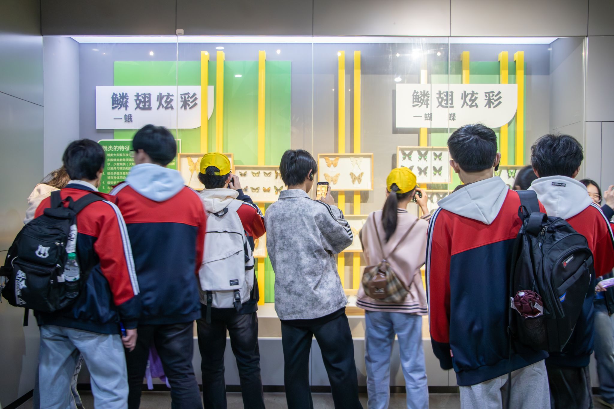 家庭教师av