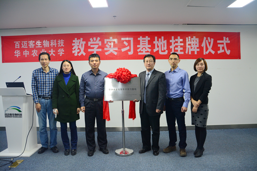 家庭教师av
