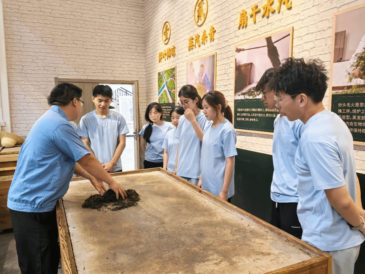 家庭教师av