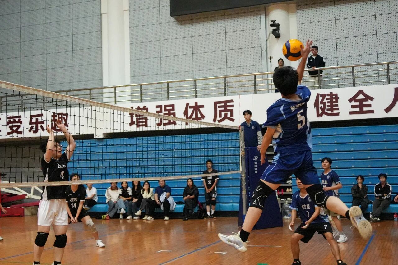 家庭教师av