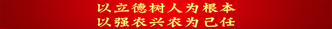 家庭教师av